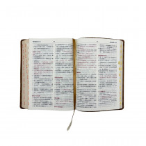 聖經-和合大字橫排儷皮神版索引(褐金)