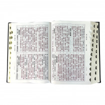 (缺貨)大字精裝索引_8系列聖經和合本
