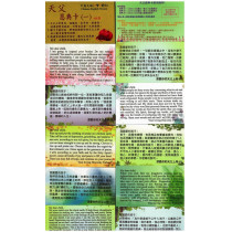 恩典卡(一)-經文盒卡/98-503/一般人士用