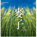 一粒麥子(CD)-小羊創作詩歌集9