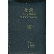聖經HOLY BIBLE(NRSV)
